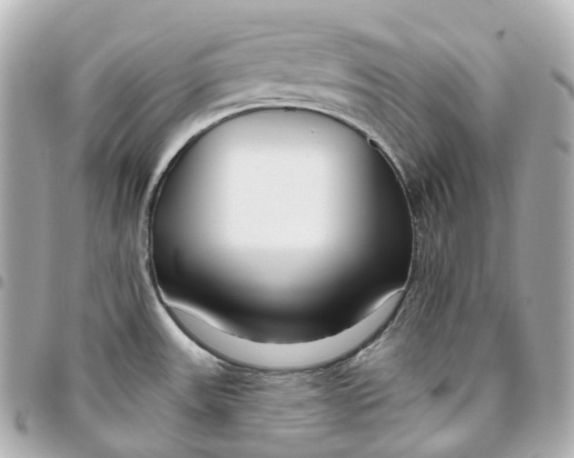 X0000095921531200802011202