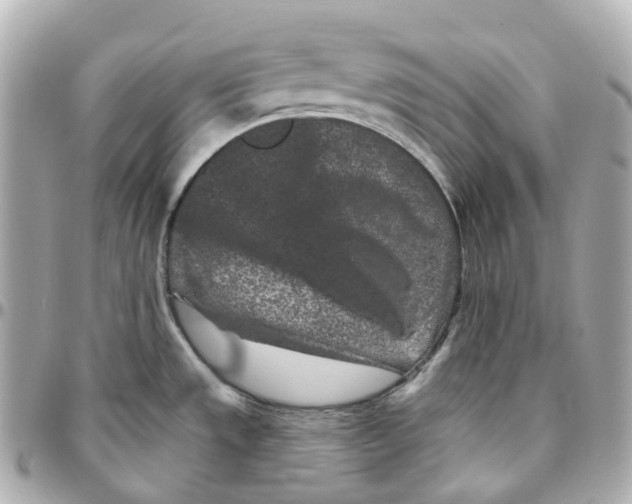 X0000095921533200802011202