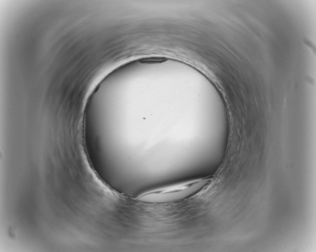 X0000095921536200802011202