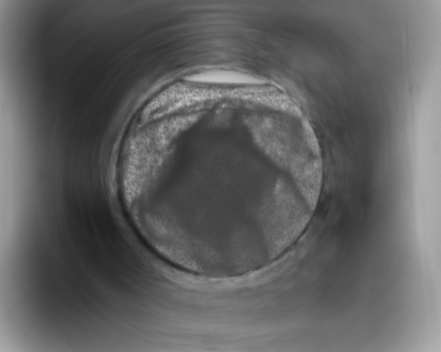 X0000095920002200802081122