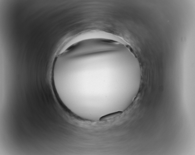 X0000095920003200802081122