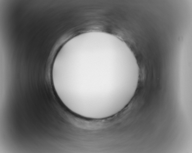 X0000095920004200802081122