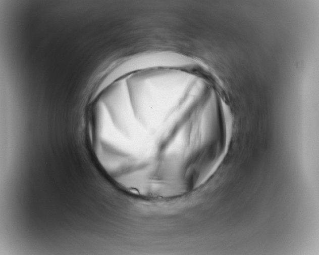 X0000095920005200802081122