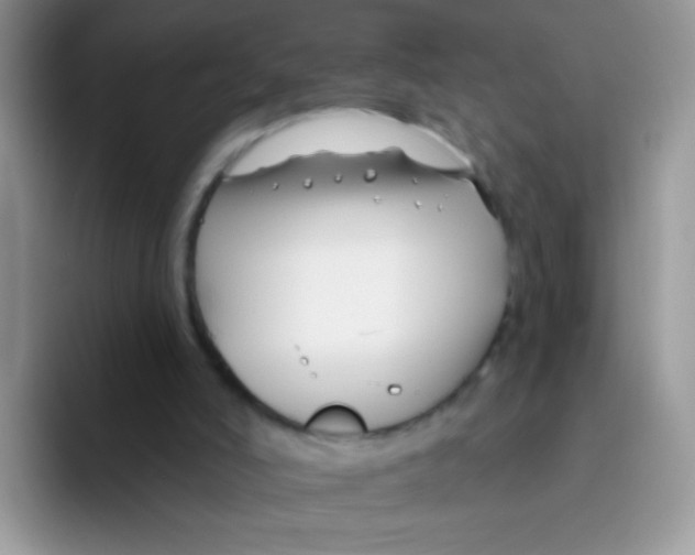 X0000095920006200802081122