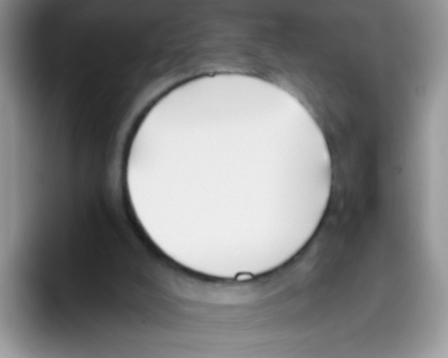 X0000095920008200802081122