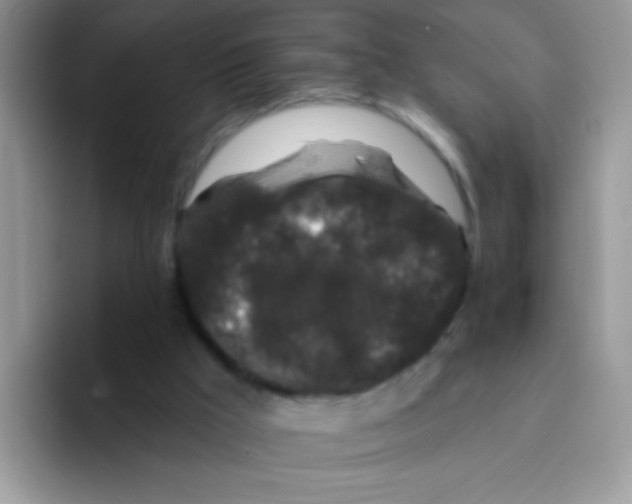 X0000095920009200802081122