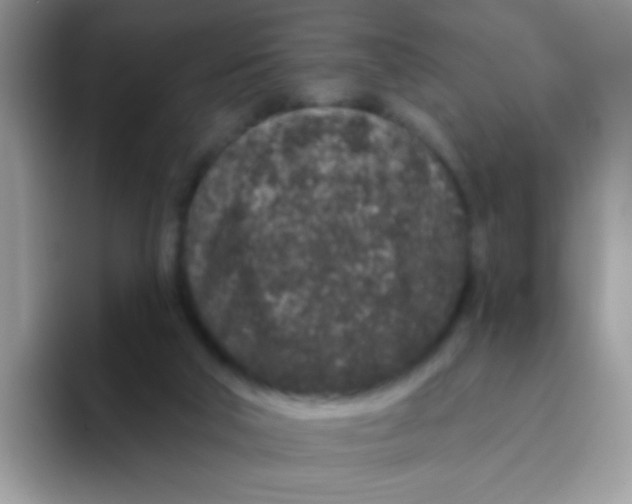 X0000095920018200802081122