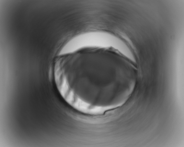 X0000095920019200802081122