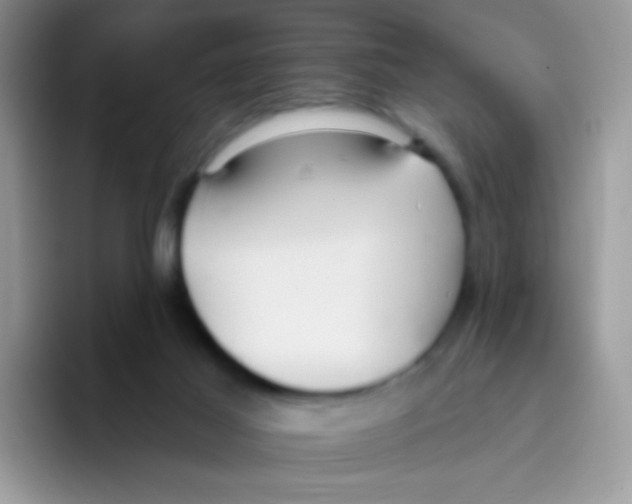 X0000095920021200802081122