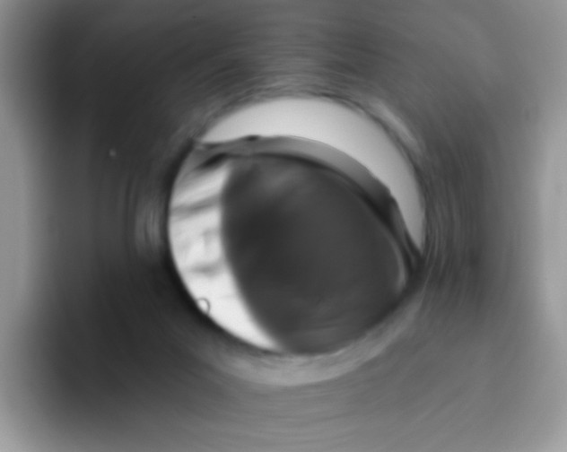 X0000095920023200802081122