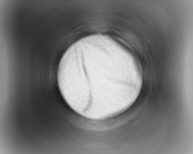 X0000095920030200802081122