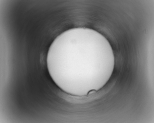 X0000095920038200802081122