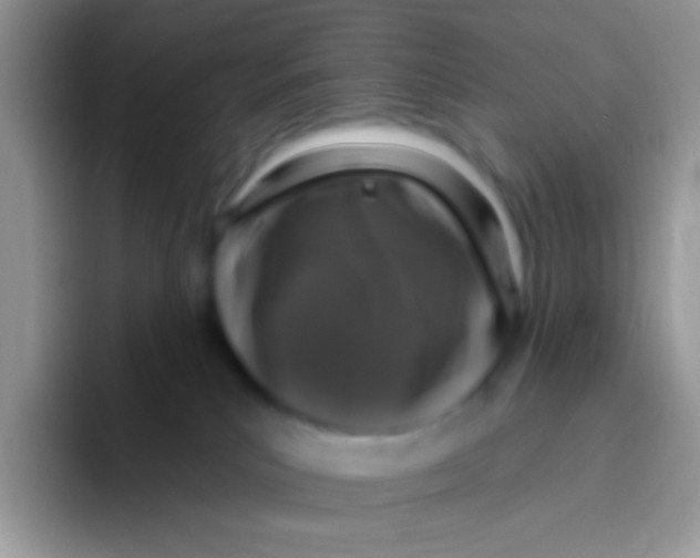 X0000095920039200802081122