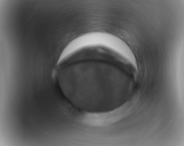 X0000095920041200802081122