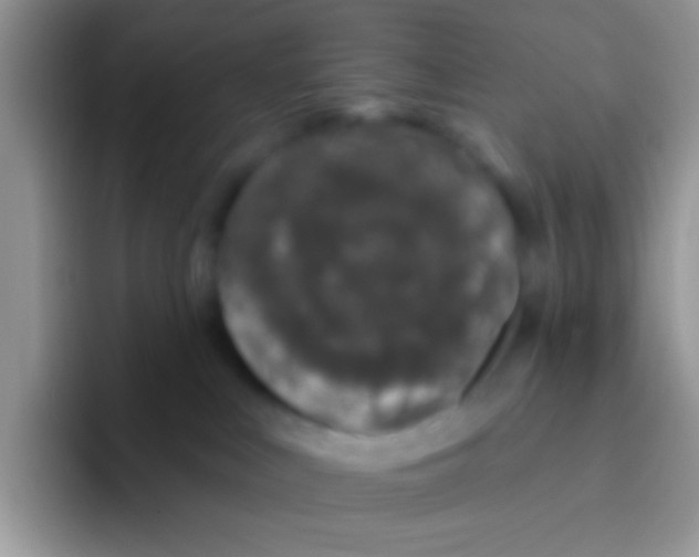 X0000095920043200802081122