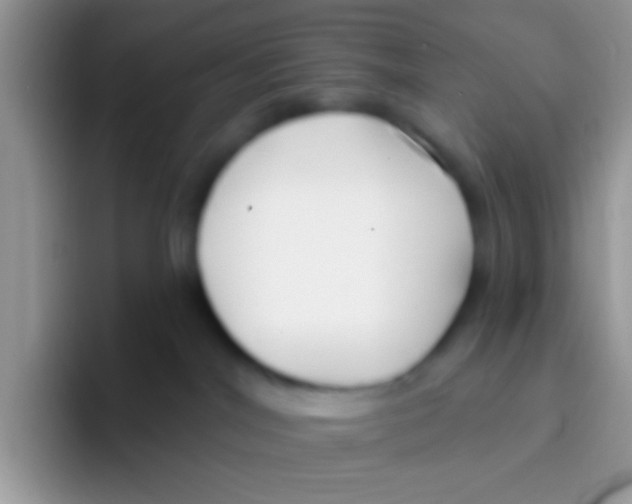 X0000095920044200802081122