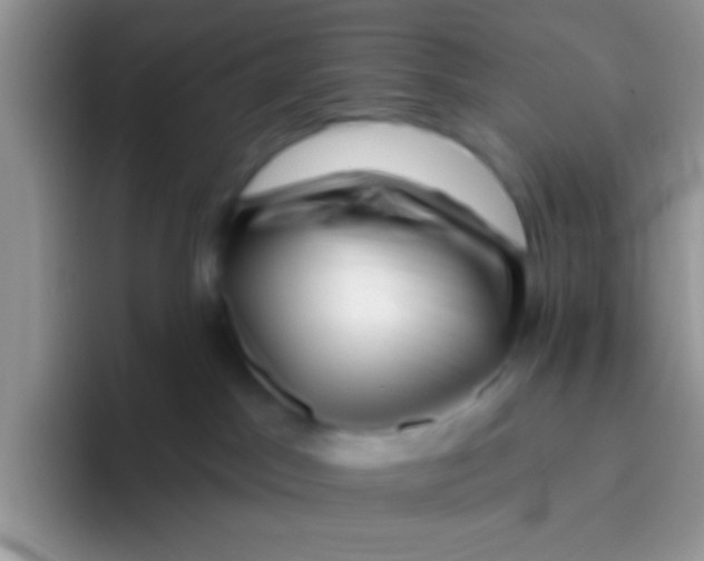 X0000095920045200802081122