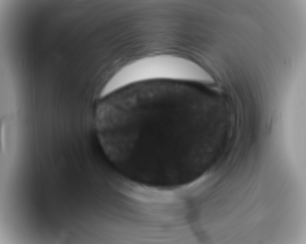 X0000095920048200802081122