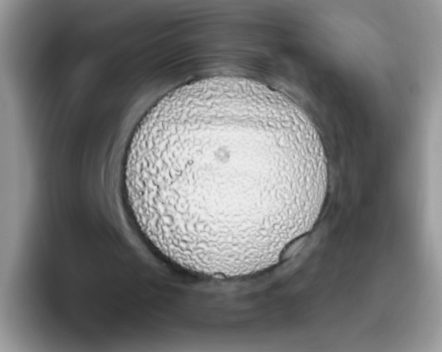 X0000095920049200802081121