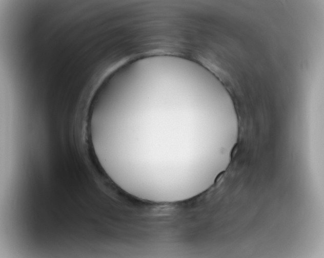 X0000095920050200802081121