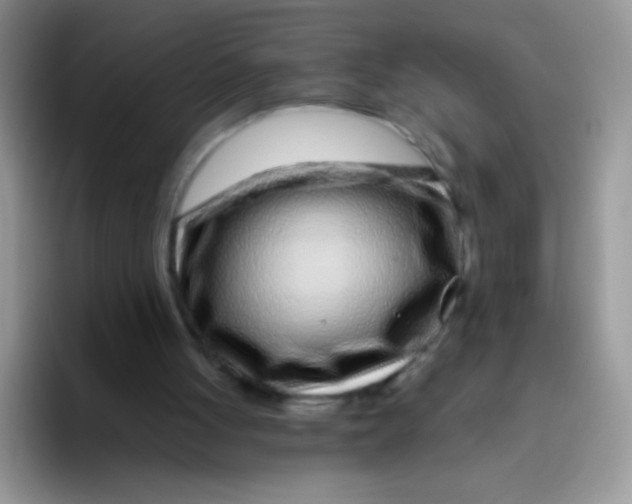 X0000095920051200802081121