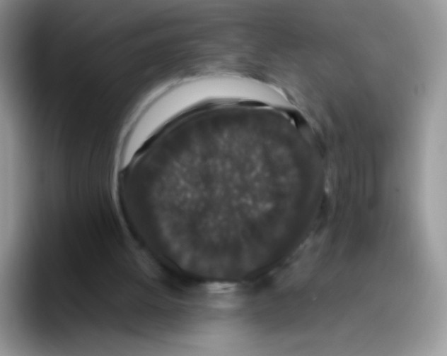 X0000095920052200802081121