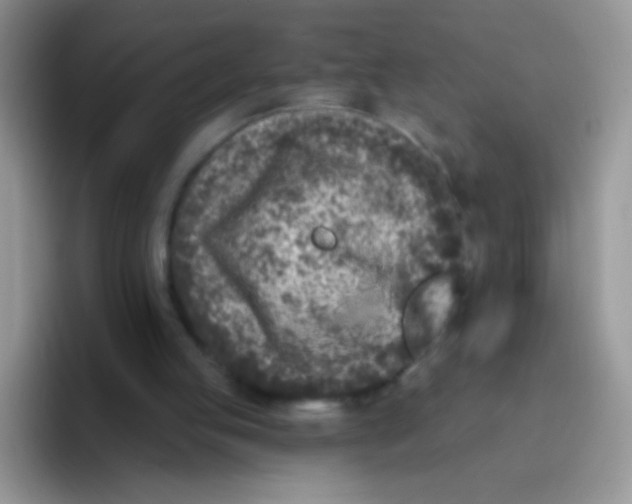 X0000095920053200802081121