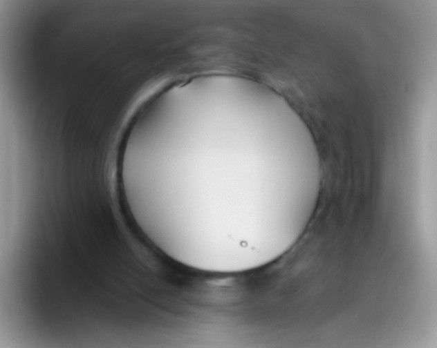 X0000095920054200802081121