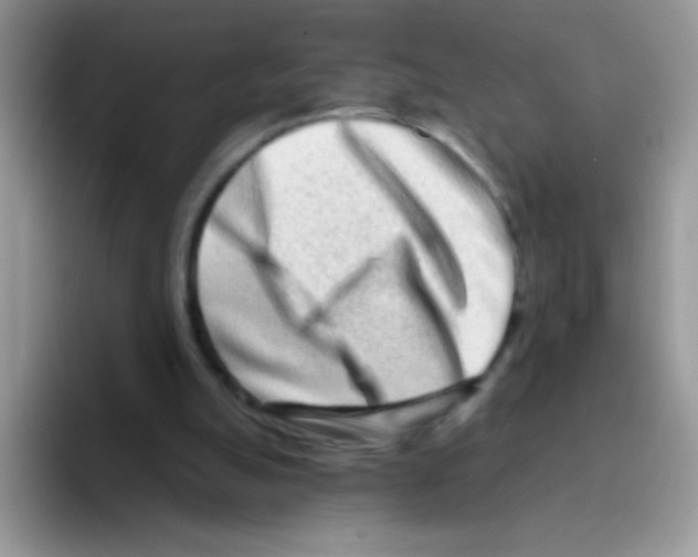 X0000095920055200802081121