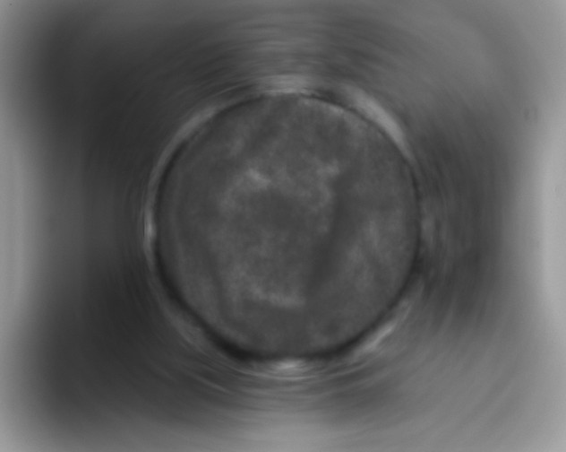 X0000095920059200802081121