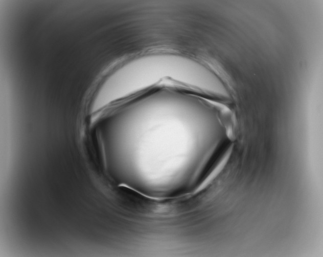 X0000095920060200802081121