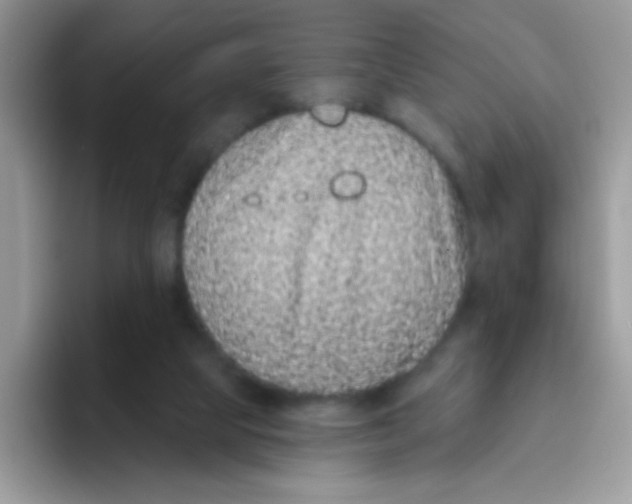 X0000095920065200802081121