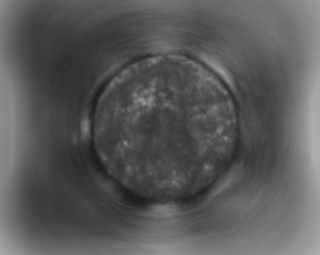 X0000095920067200802081121