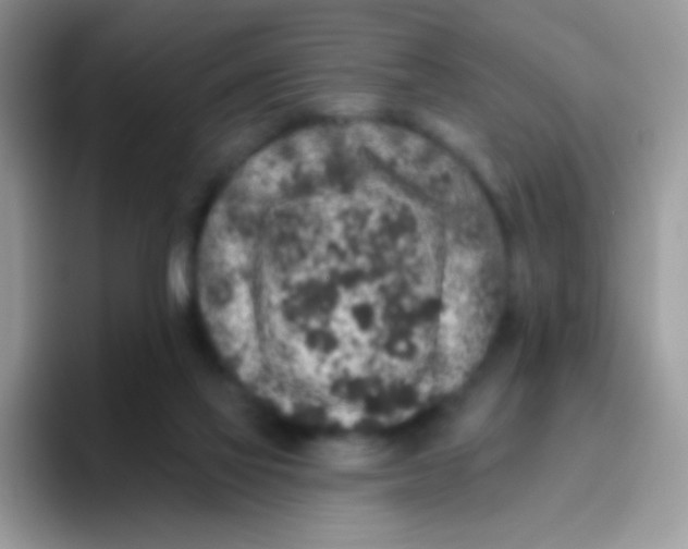 X0000095920069200802081121