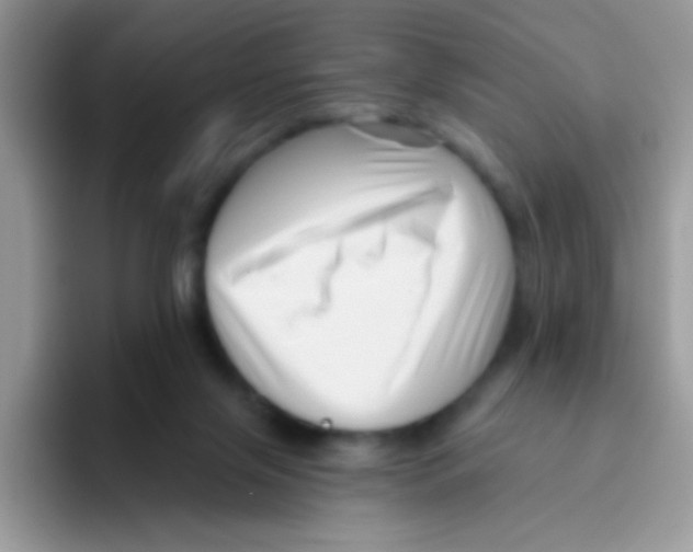 X0000095920071200802081121