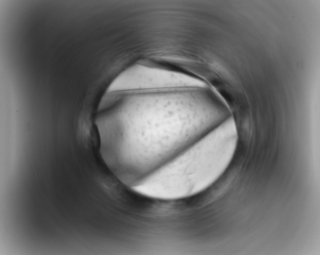 X0000095920072200802081121