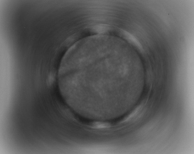 X0000095920073200802081121