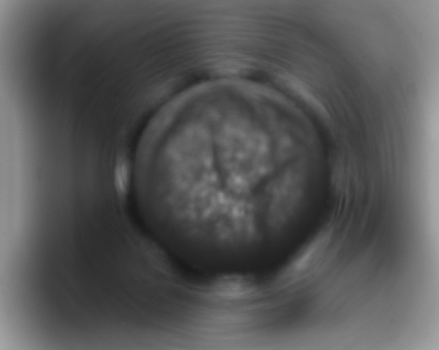 X0000095920076200802081122