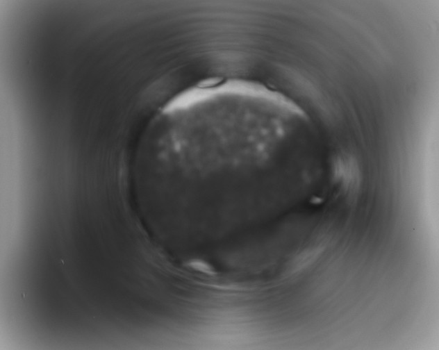 X0000095920080200802081122