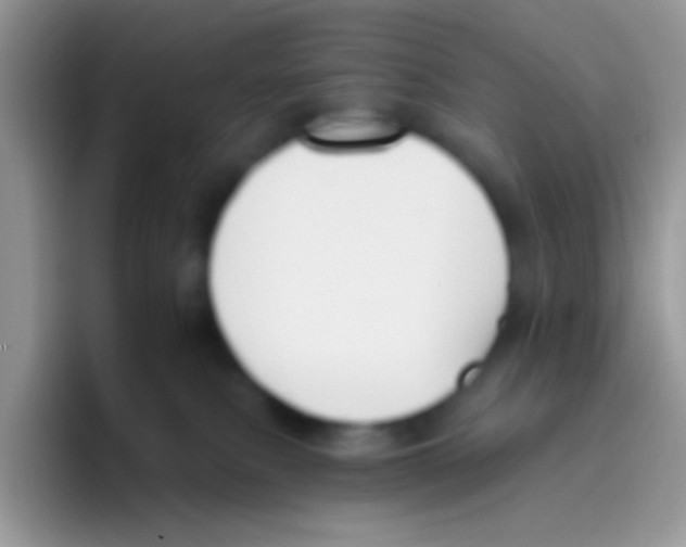 X0000095920087200802081122