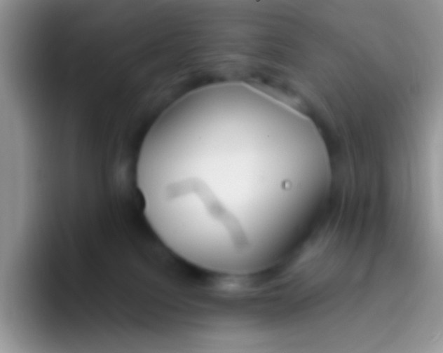 X0000095920088200802081122