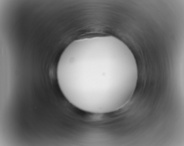 X0000095920090200802081122