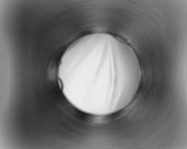 X0000095920093200802081122