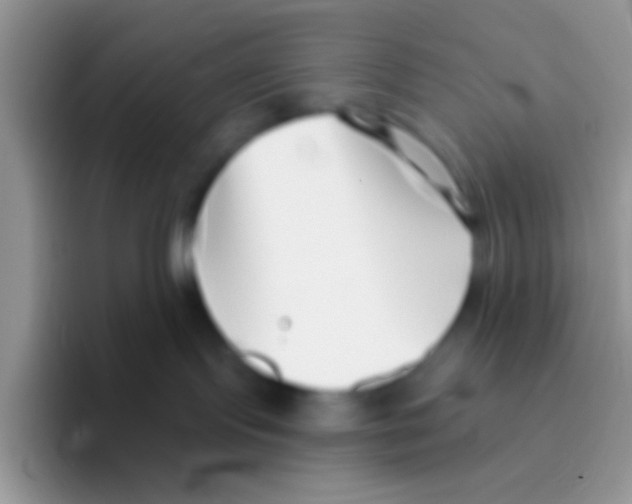 X0000095920095200802081122