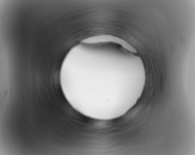 X0000095920096200802081122