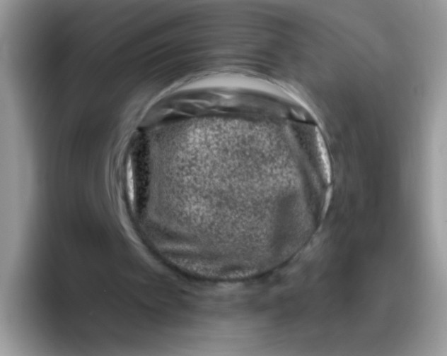 X0000095920097200802081121