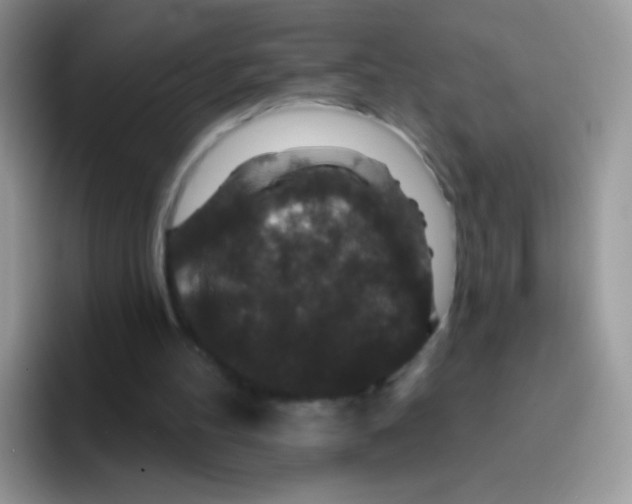 X0000095920100200802081121