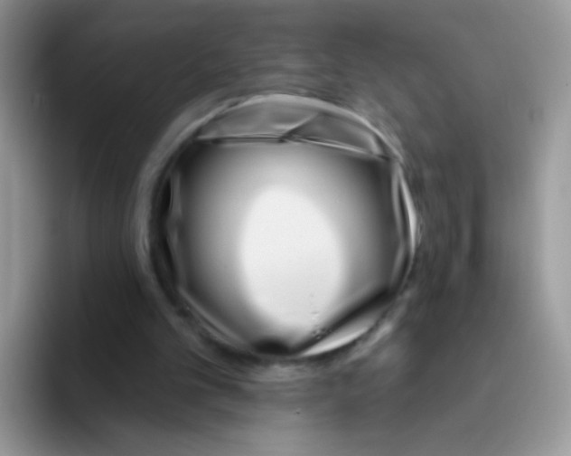 X0000095920101200802081121