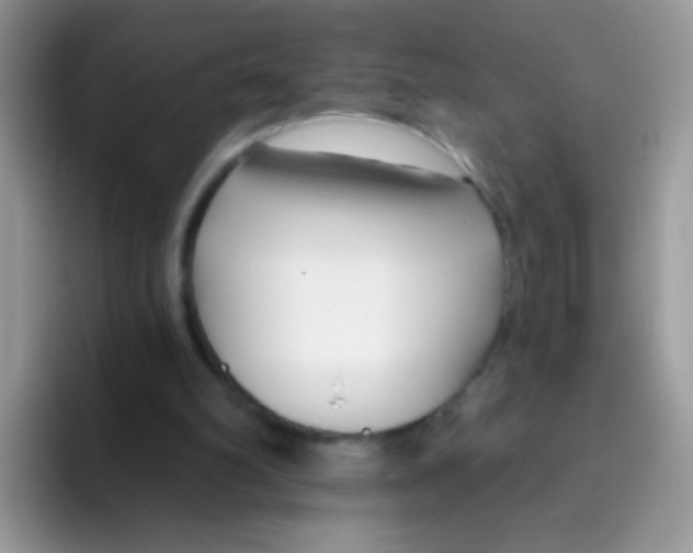 X0000095920102200802081121