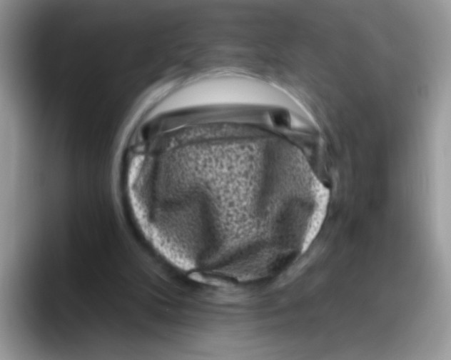 X0000095920104200802081121